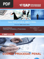 Ppt. Peritaje Contable 2