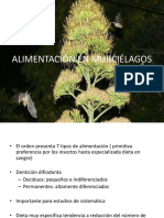 Alimentación en Murciélagos