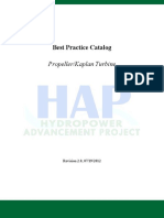 Best Practice Catalog: Propeller/Kaplan Turbine