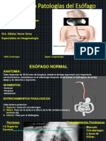 Patologías del Esófago