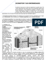 Octavo - 1 - El Aparato Locomotor y Sus Enfermedades PDF