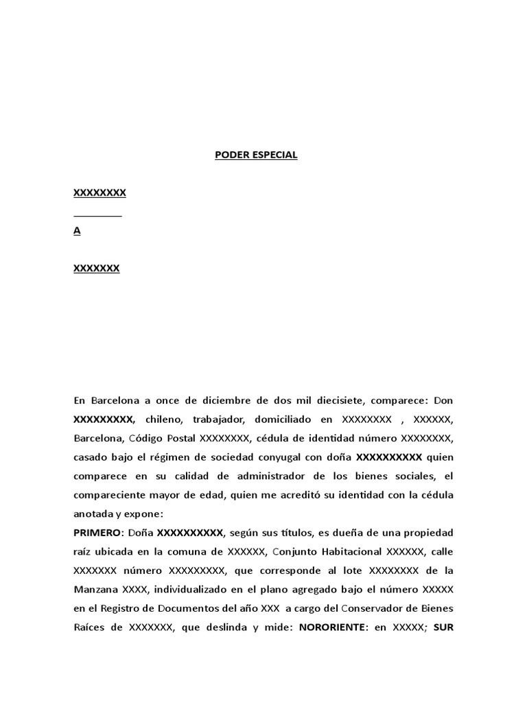 Modelo de poder especial otorgado en el exterior