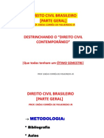 Direito Civil Brasileiro: Pessoas Naturais e Teorias sobre a Personalidade Jurídica