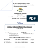 Mémoire Au Format PDF