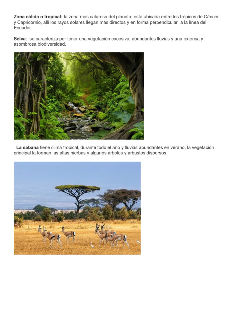 Características de la Zona Cálida | PDF | Zona tropical | Clima templado