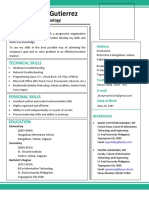 Resume Example of Information Technology