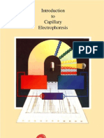 Capillary Electrophoresis - Eletroforese Capilar