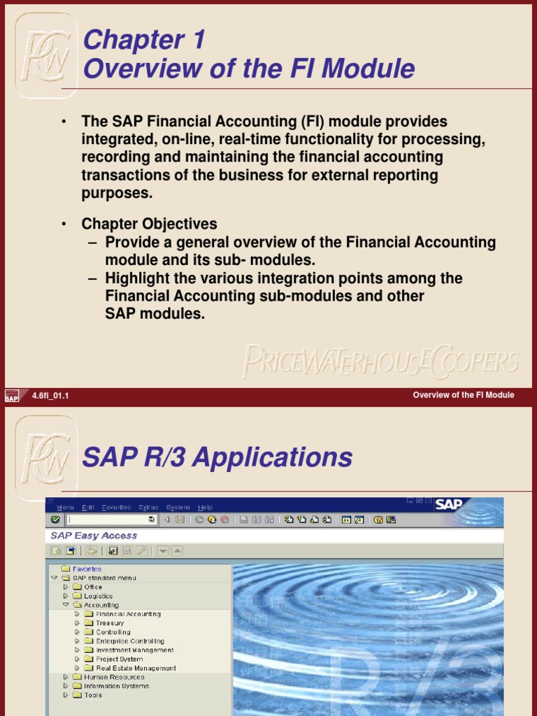 SAP FI Module Overview | PDF | Financial Accounting | Service Industries