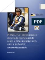 Resumen Ejecutivo Primer Avance PDF