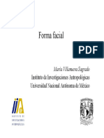 3 Formas Faciales PDF