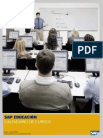 Calendario SAP 2010