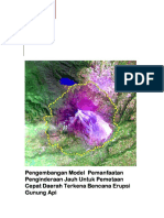 Gunung Api PDF