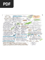 F. Hayek. Notas Individualismo