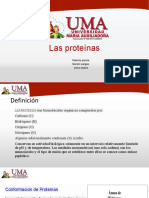 14. Abdomen.pdf