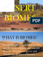 Desert Biomes Explained