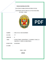 alteración del orden público.docx