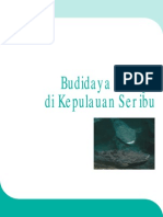 Budidaya Kerapu