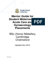 Mentor Guide For Student Midwives On Acute Care and Gynae Placements. Nov 2012