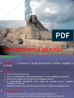 Metab Glucidic