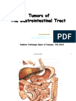 Tumors of The Gastrointestinal Tract: Robbins' Pathologic Basis of Disease, 9th, 2015