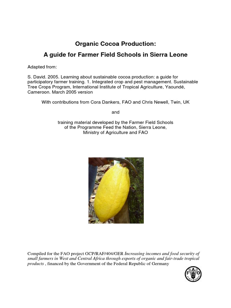 Cacao Production PDF Pruning Cocoa Bean
