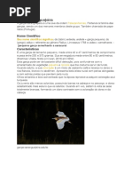 Garça-caranguejeira