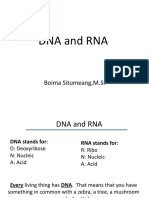 Dna and Rna: Boima Situmeang, M.Si