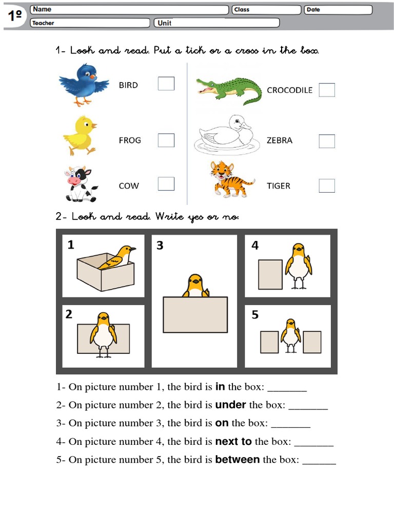 Bird Position Activity Worksheet | PDF