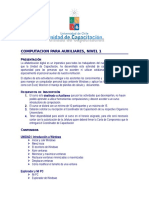 programa curso de computacion para auxiliares doc 116 kb.doc