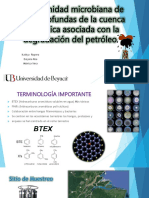 La Comunidad Microbiana de Aguas Profundas de La Cuenca Amazónica Asociada Con La Degradación Del Petróleo