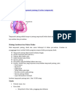 Tamponade Jantung