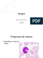 Sangre MCQ