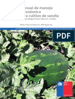 02 Manual Sandia.pdf
