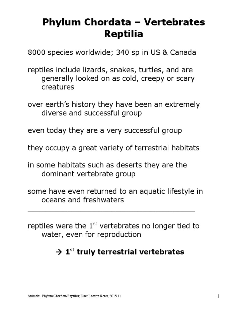 Phylum Chordata-Reptiles PDF | PDF | Reptile | Snake