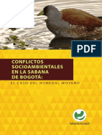 Conflictos Socio Ambientales Sabana Bogota Humedal Moyano Megraproyectos 2017