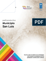 Perfil-productivo-San-Luis.pdf