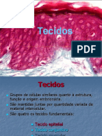3-tecido_epitelial.ppt
