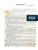 Cuibul de Păsărele Poveste PDF