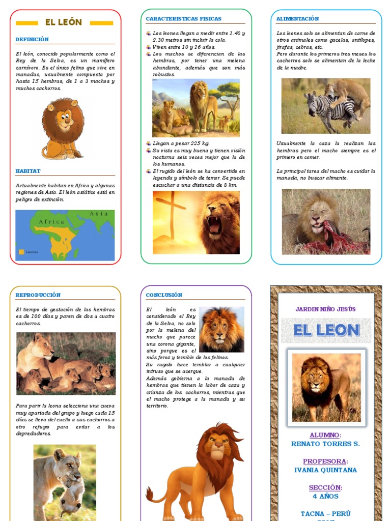 Nombre Científico Y Clasificación De Los Leones – GOHIUT