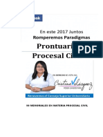 Prontuario_Procesal_Civil_Usuario_Selecc.pdf