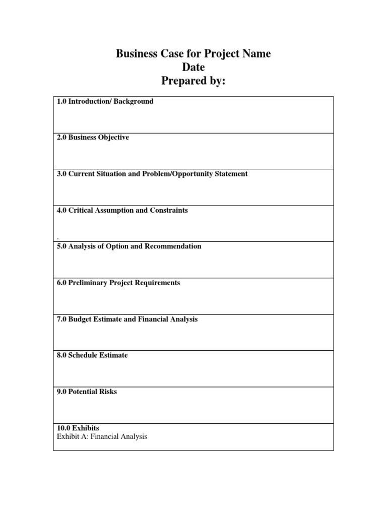 Business Project Strategy Guide | PDF