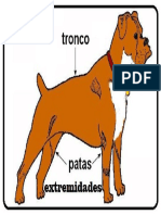 partes del cuerpo de un animal.docx