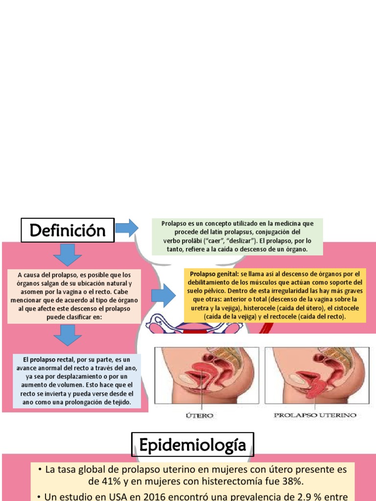PROLAPSO | PDF | Vagina | Parto