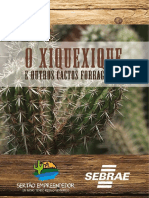 Livro XiqueXique PDF