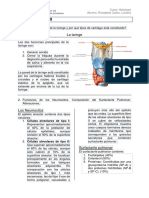 Cuestionario n9 Histología