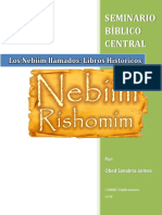 Los Nebhim Lim.pdf