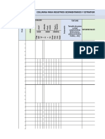 Formato Estratigrafía