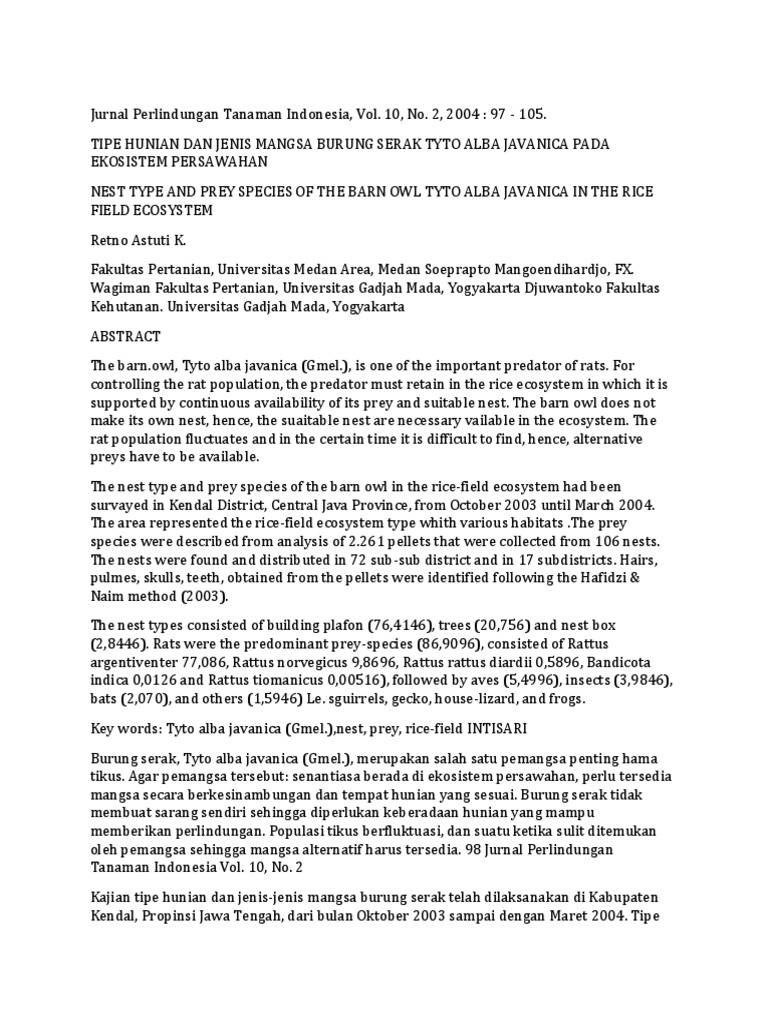 3 Dikonversi Owl Birds