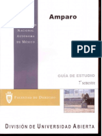 Amparo7oSemestreGuiadeEstudios.pdf