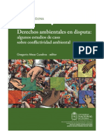 Derechos ambientales en disputa- algunos estudios de caso sobre conflictividad ambiental.pdf